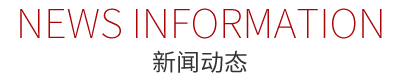 新聞動態(tài)